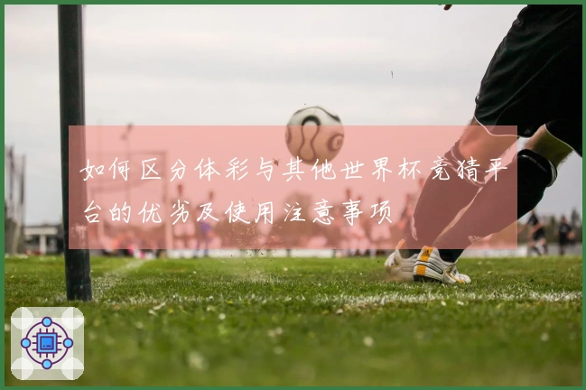 如何区分体彩与其他世界杯竞猜平台的优劣及使用注意事项